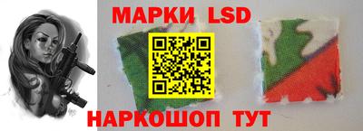 mdpv Краснознаменск