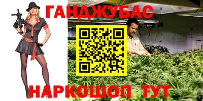 mdpv Краснознаменск