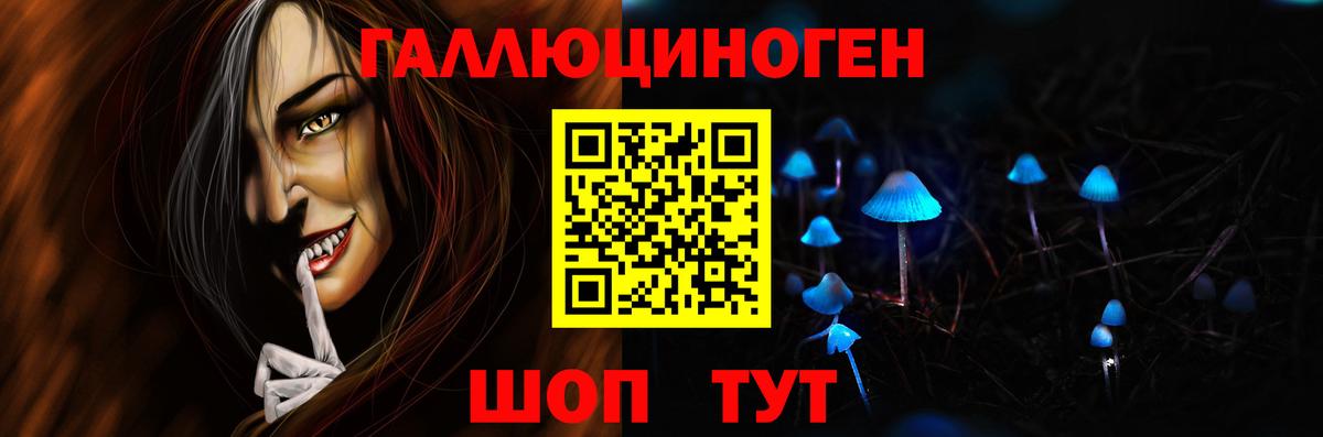 Вольск  Псилоцибиновые грибы Psilocybe  Вход с VPN 