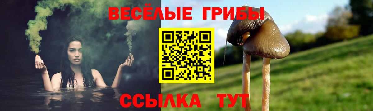 Псилоцибиновые грибы мухоморы Вольск